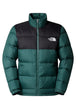 GIUBBINI E GIACCHE Verde/nero The North Face