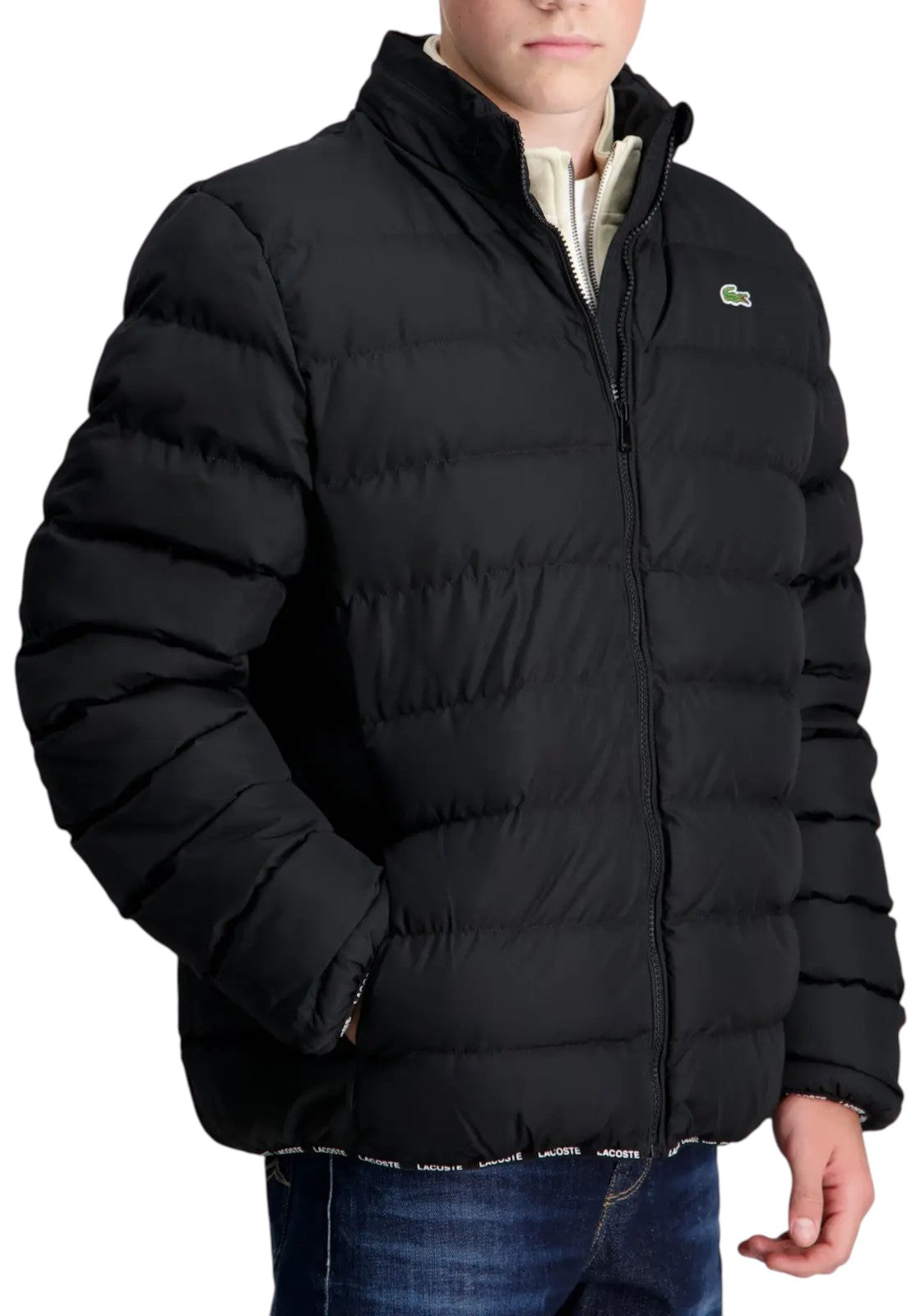 GIUBBINI E GIACCHE Nero Lacoste