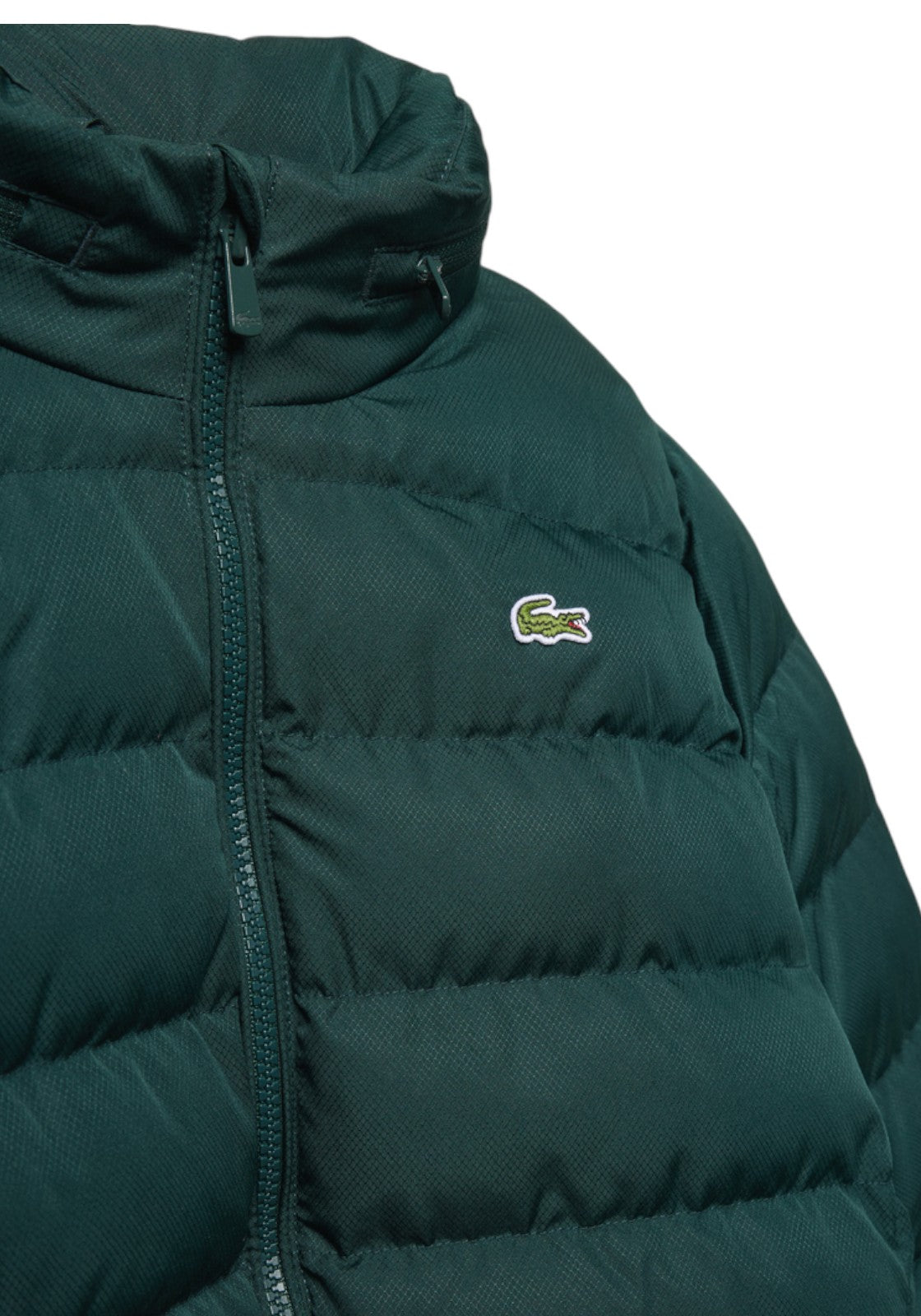 GIUBBINI E GIACCHE Verde Bosco Lacoste