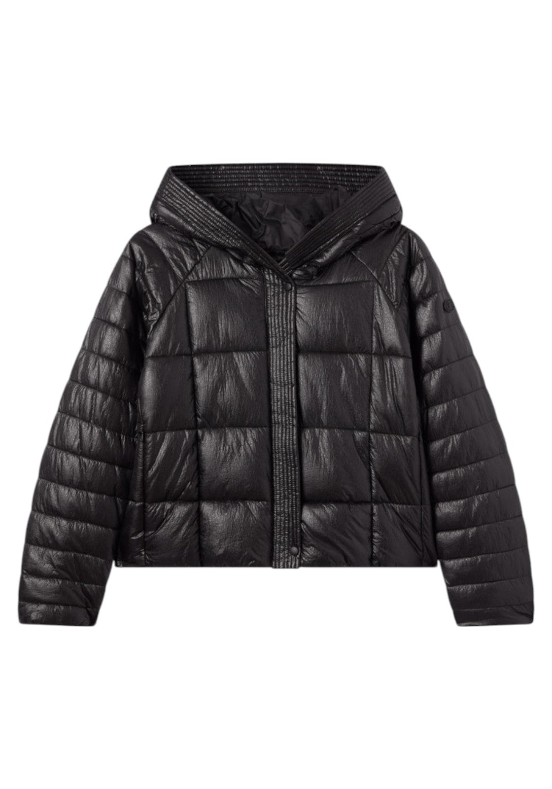 GIUBBINI E GIACCHE Nero Champion