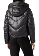 GIUBBINI E GIACCHE Nero Champion