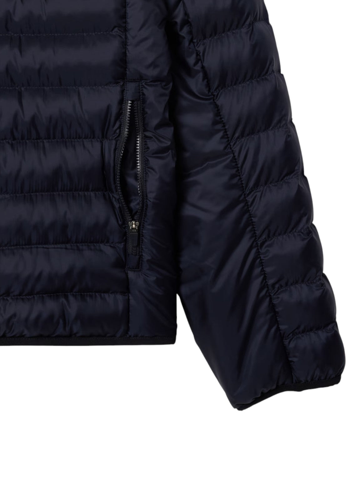 GIUBBINI E GIACCHE Navy Lacoste