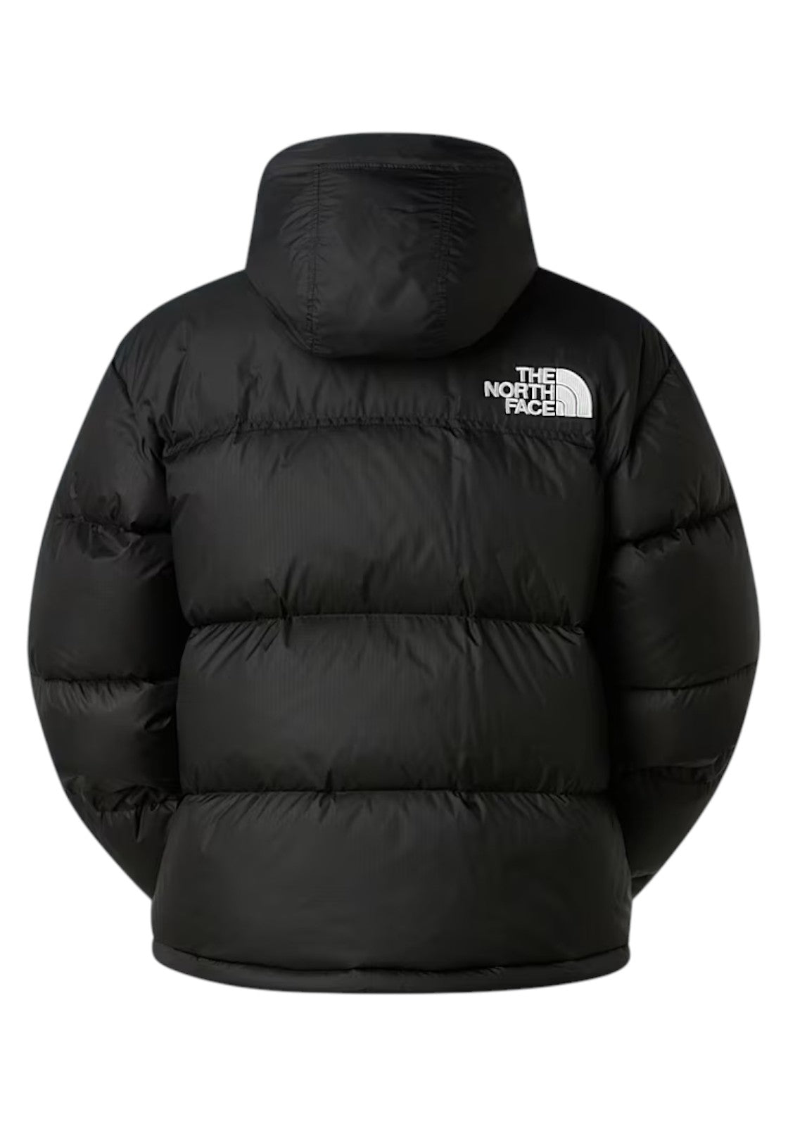 GIUBBINI E GIACCHE Nero The North Face