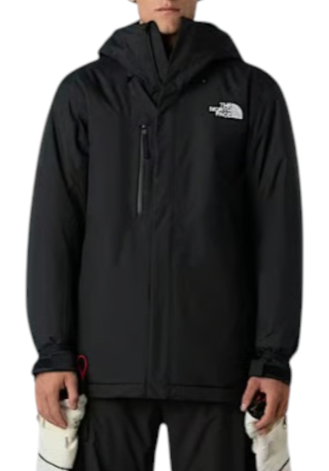 GIUBBINI E GIACCHE Nero The North Face
