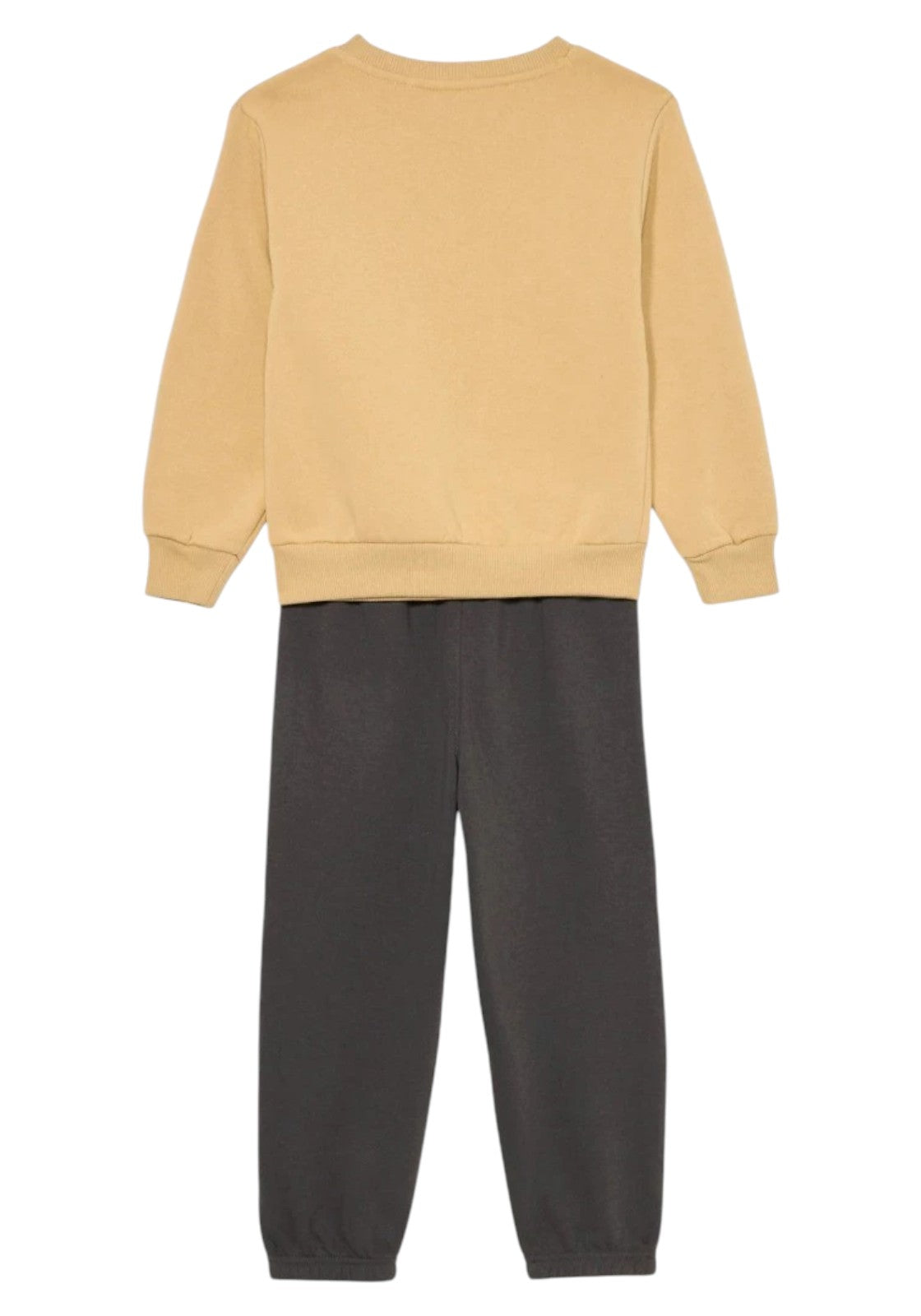 TUTE Beige/grigio Converse