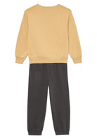 TUTE Beige/grigio Converse