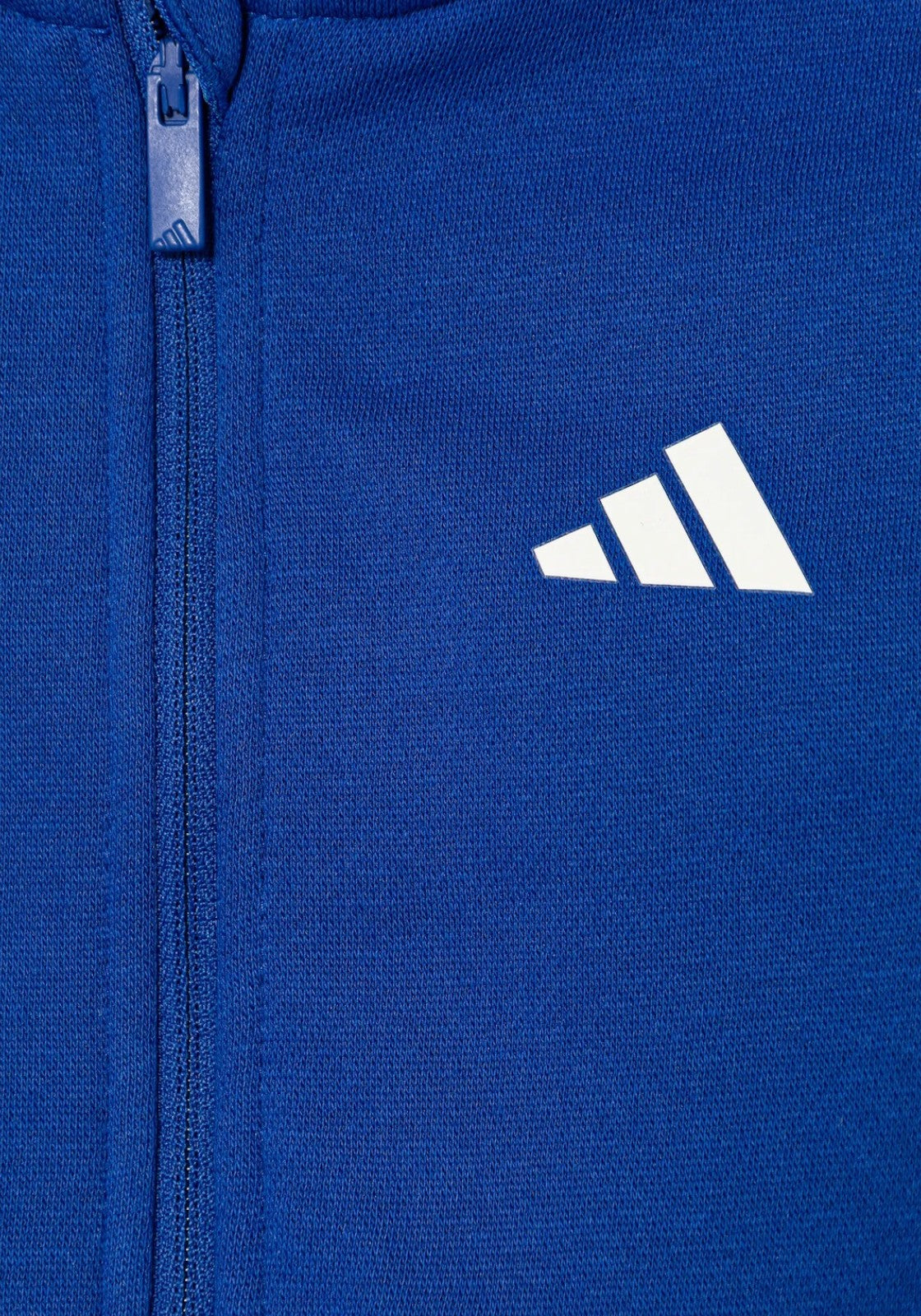 TUTE Azzurro Adidas