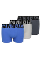 ACCESSORI LIFESTYLE Grigio/blu Calvin Klein