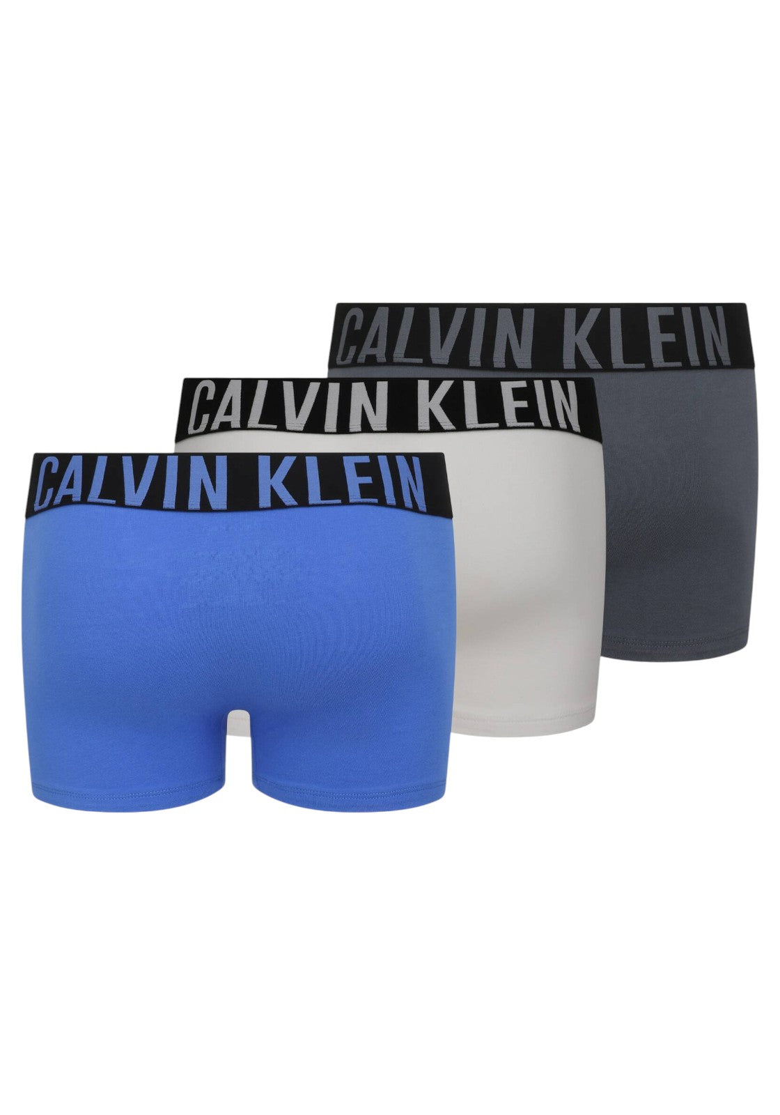 ACCESSORI LIFESTYLE Grigio/blu Calvin Klein