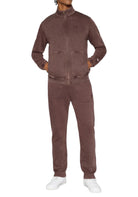 TUTE Marrone Champion