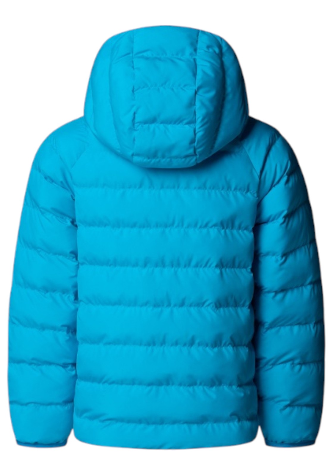 GIUBBINI E GIACCHE Azzurro/blu The North Face