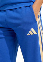 PANTALONI Azzurro/oro Adidas