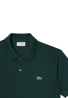 MAGLIONI E POLO Verde Bottiglia Lacoste