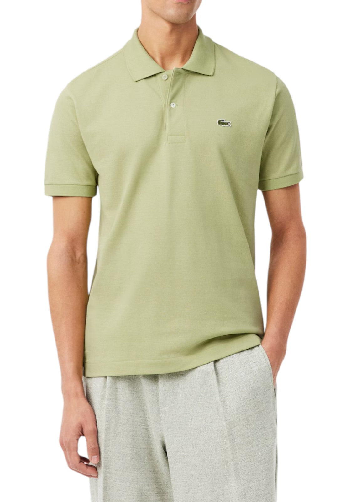 MAGLIONI E POLO Pistacchio Lacoste