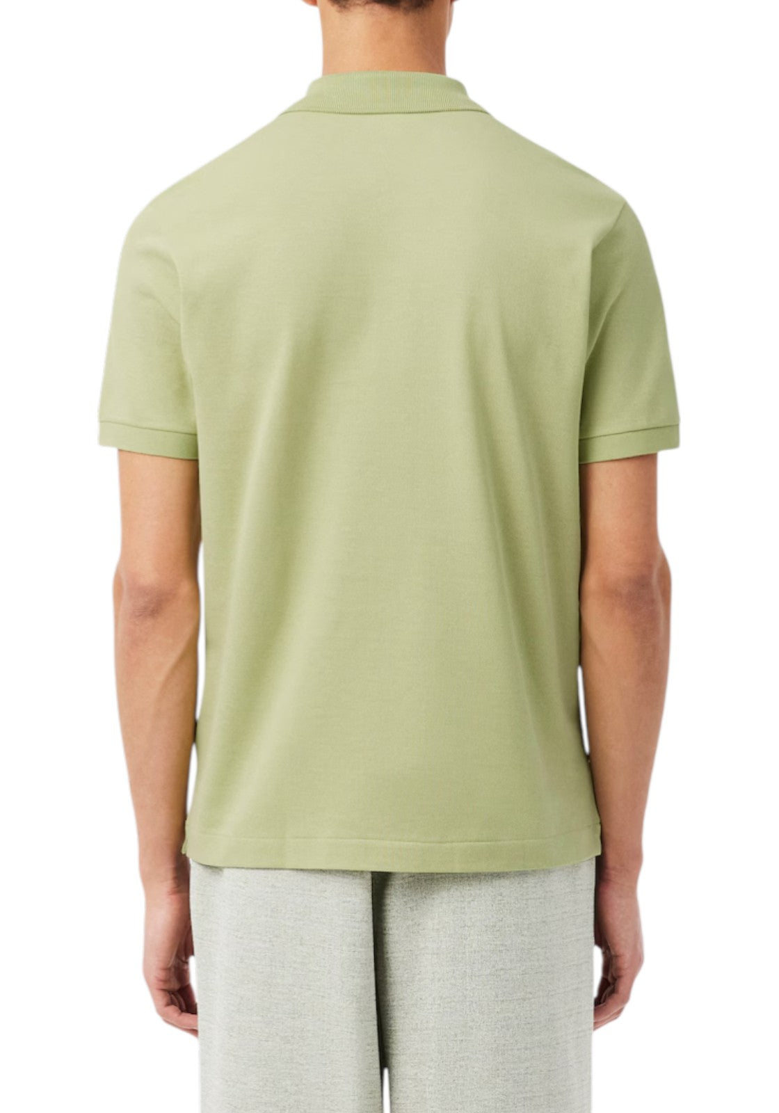 MAGLIONI E POLO Pistacchio Lacoste