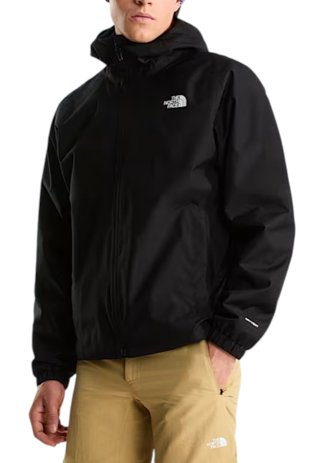GIUBBINI E GIACCHE Nero The North Face