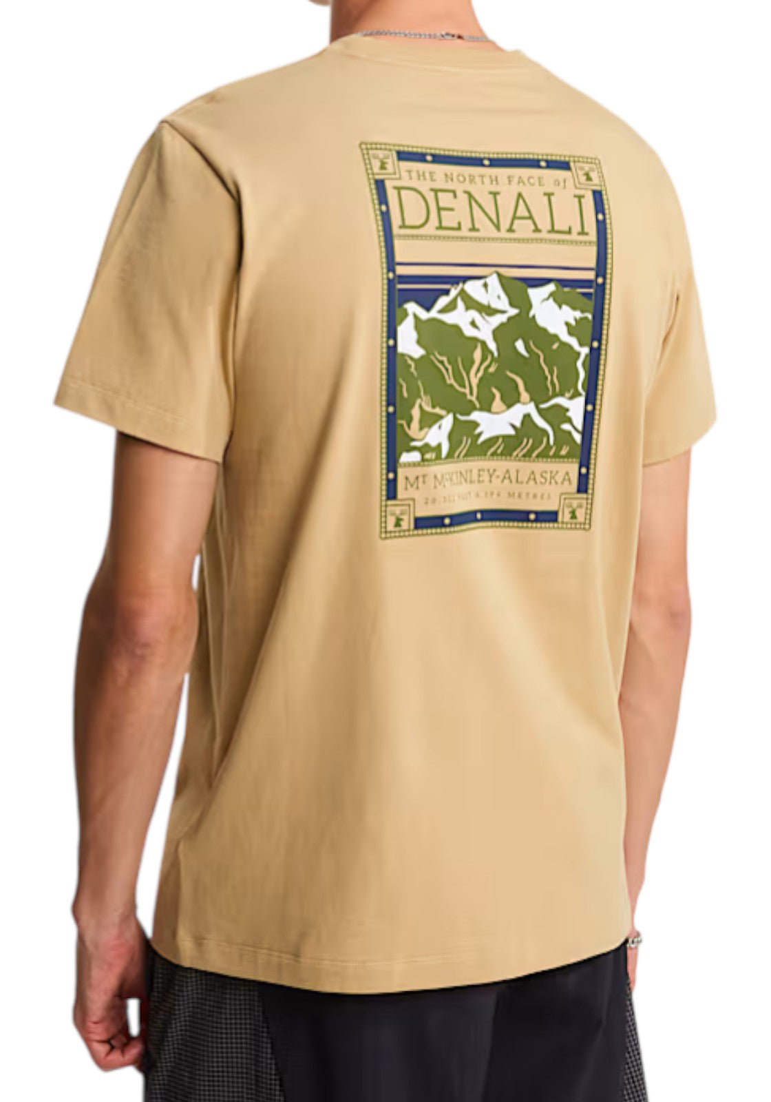 T-SHIRT E CANOTTE Beige/verde The North Face