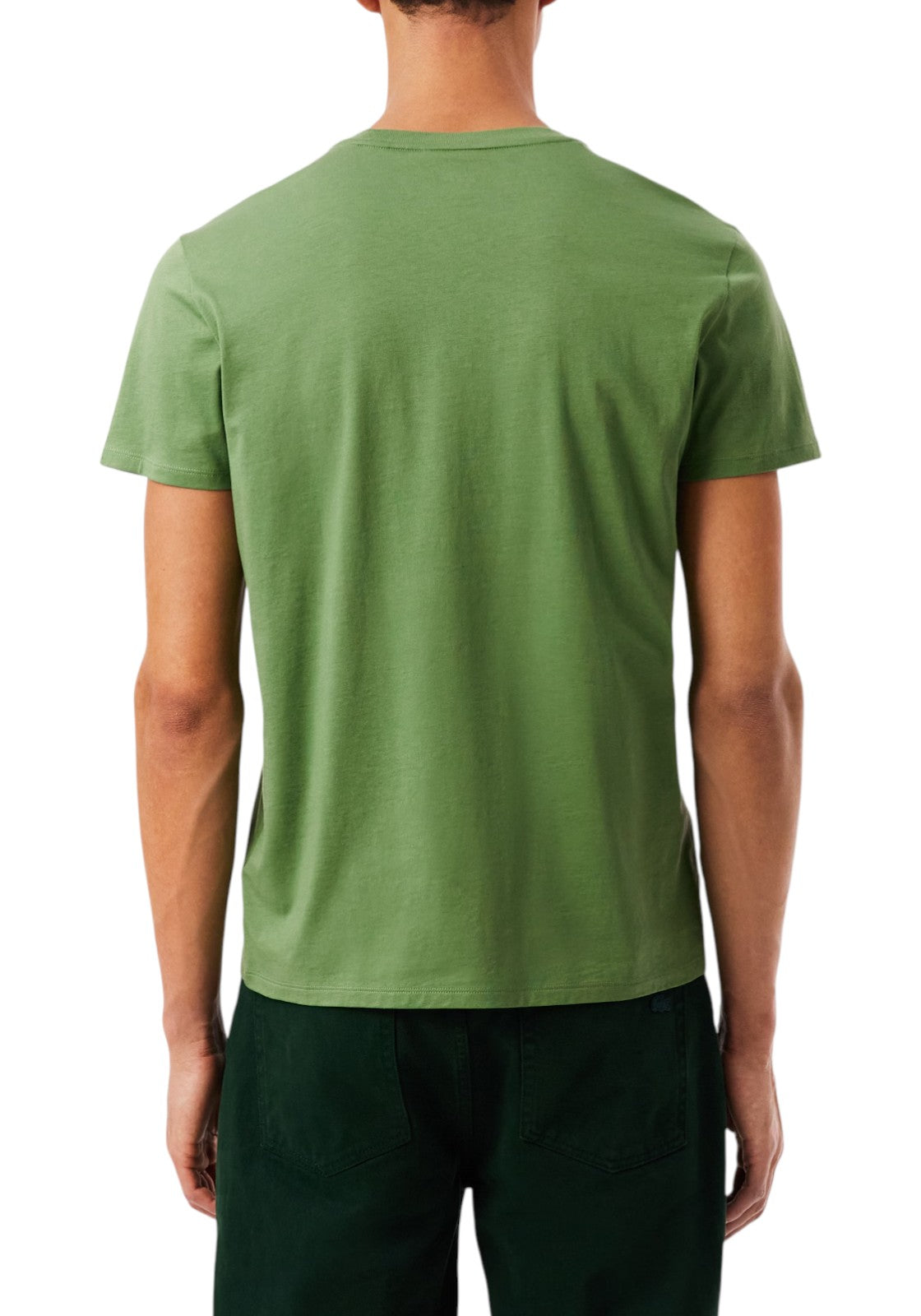T-SHIRT E CANOTTE Verde Oliva Lacoste
