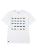 T-SHIRT E CANOTTE Bianco/verde Lacoste