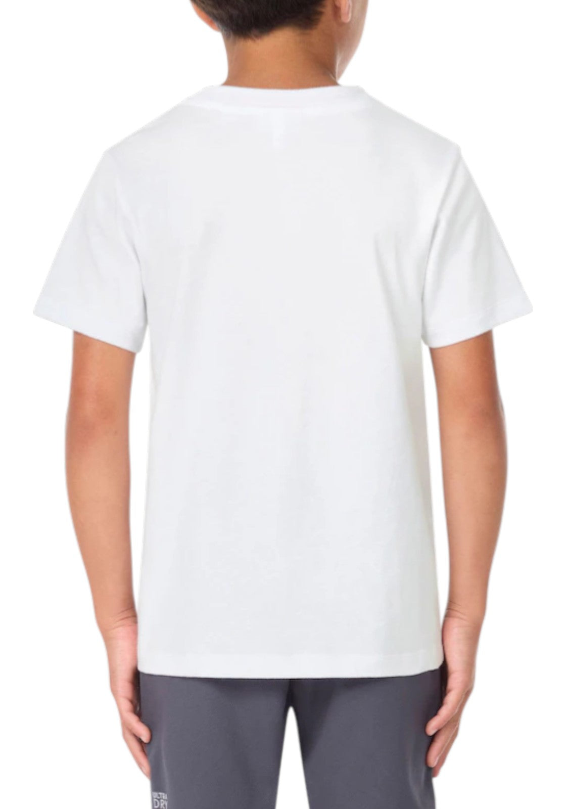 T-SHIRT E CANOTTE Bianco/verde Lacoste