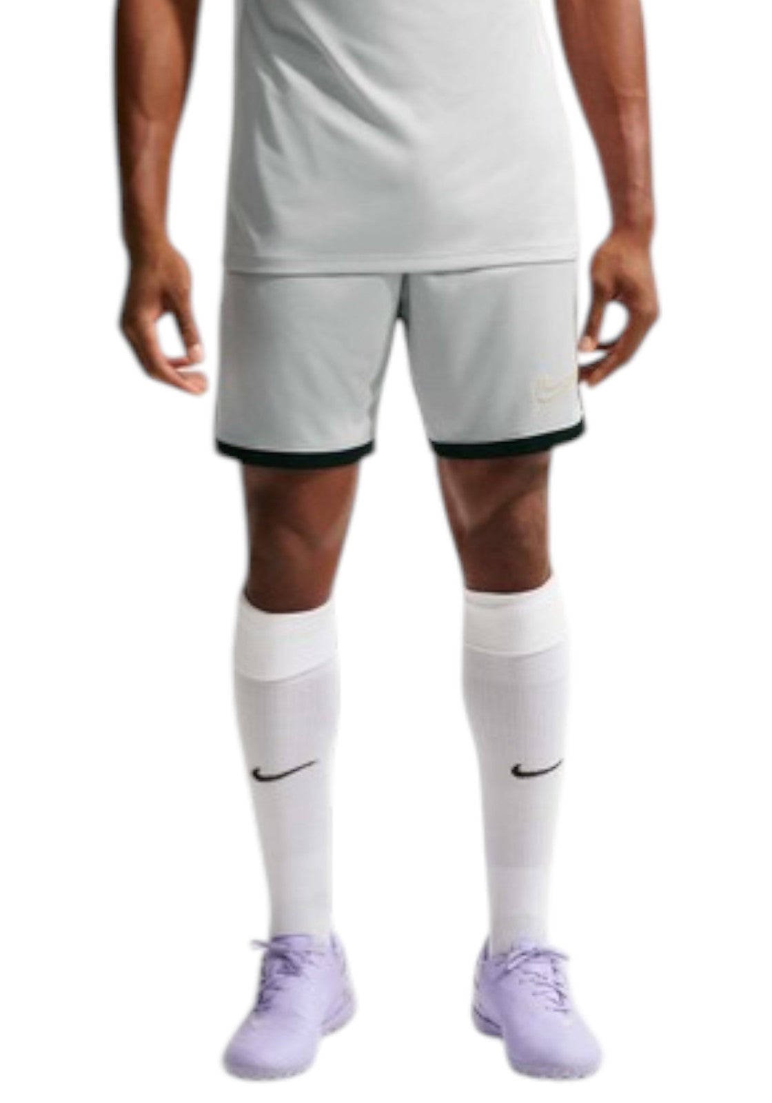 PANTALONCINI Grigio/nero Nike