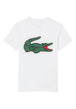 T-SHIRT E CANOTTE Bianco/verde Lacoste