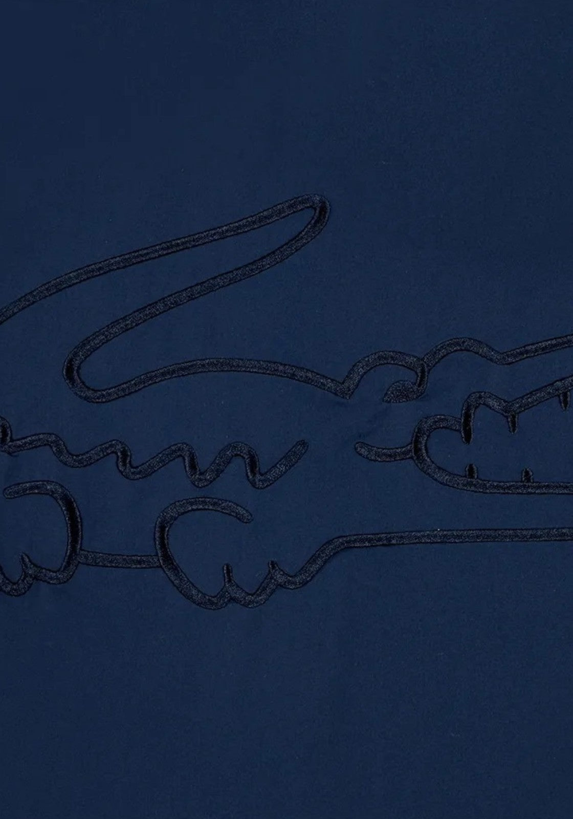 GIUBBINI E GIACCHE Blu Lacoste