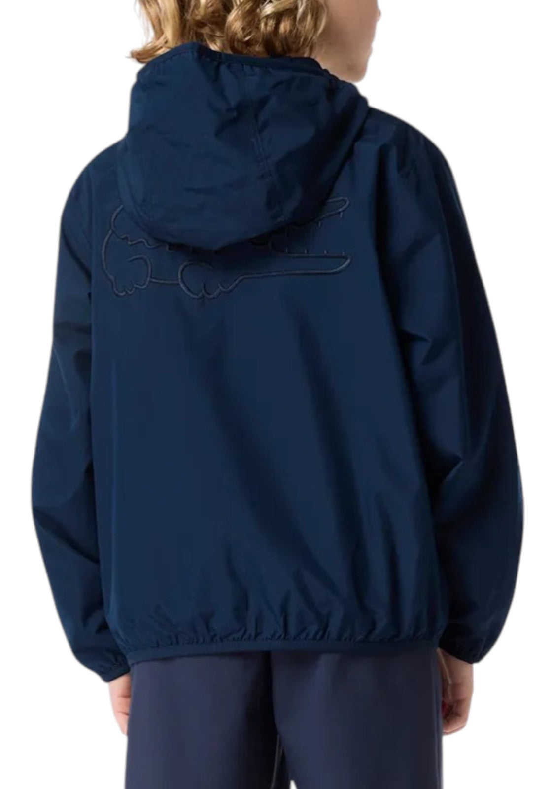 GIUBBINI E GIACCHE Blu Lacoste