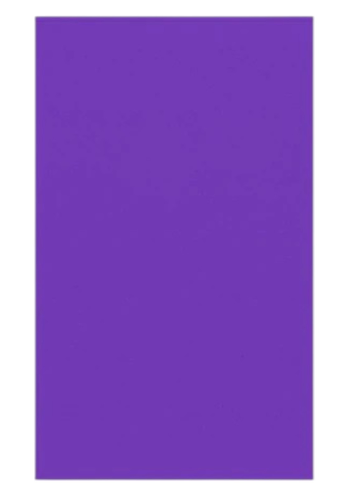 ACCESSORI PISCINA Viola Arena