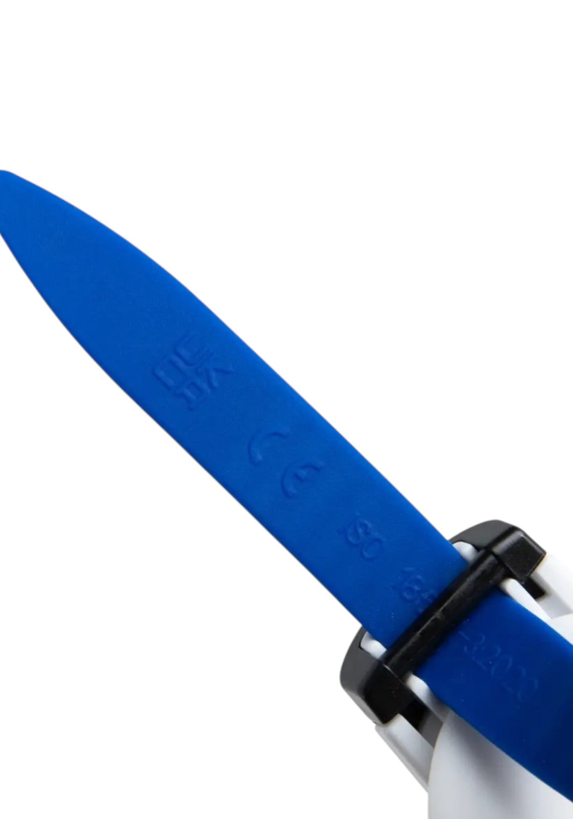 ACCESSORI PISCINA Bianco/azzurro Arena