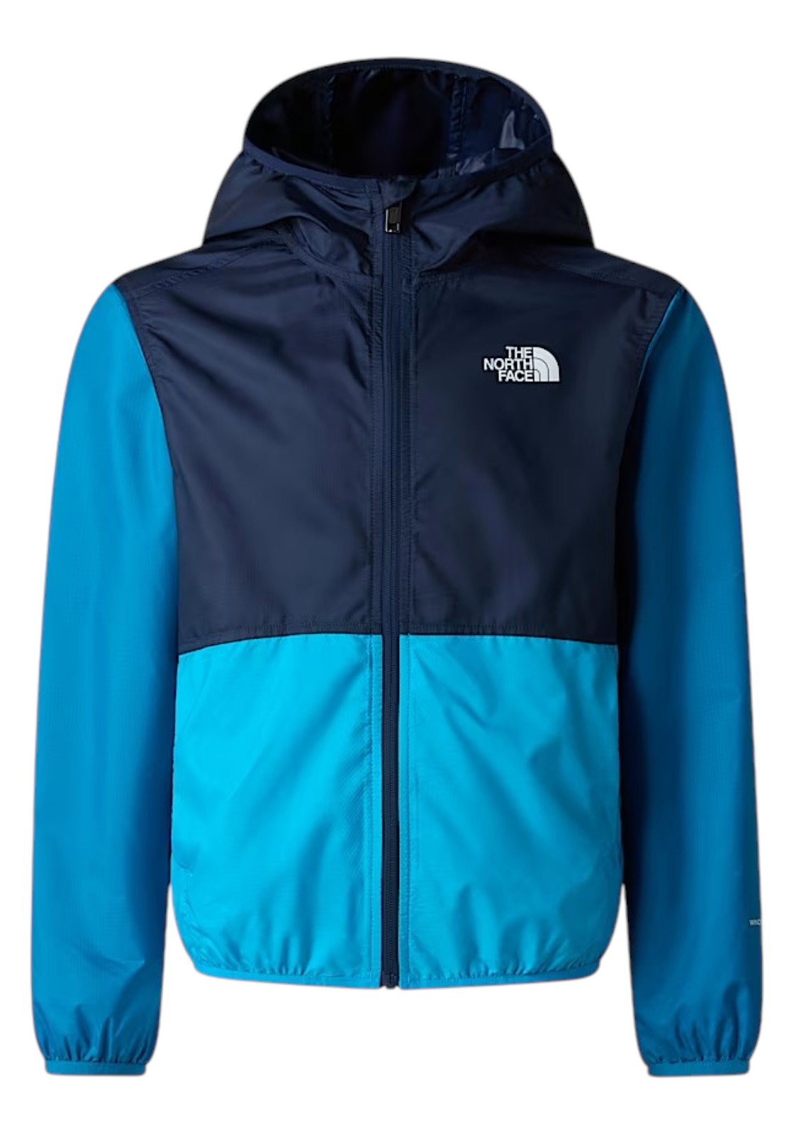 GIUBBINI E GIACCHE Azzurro/blu The North Face
