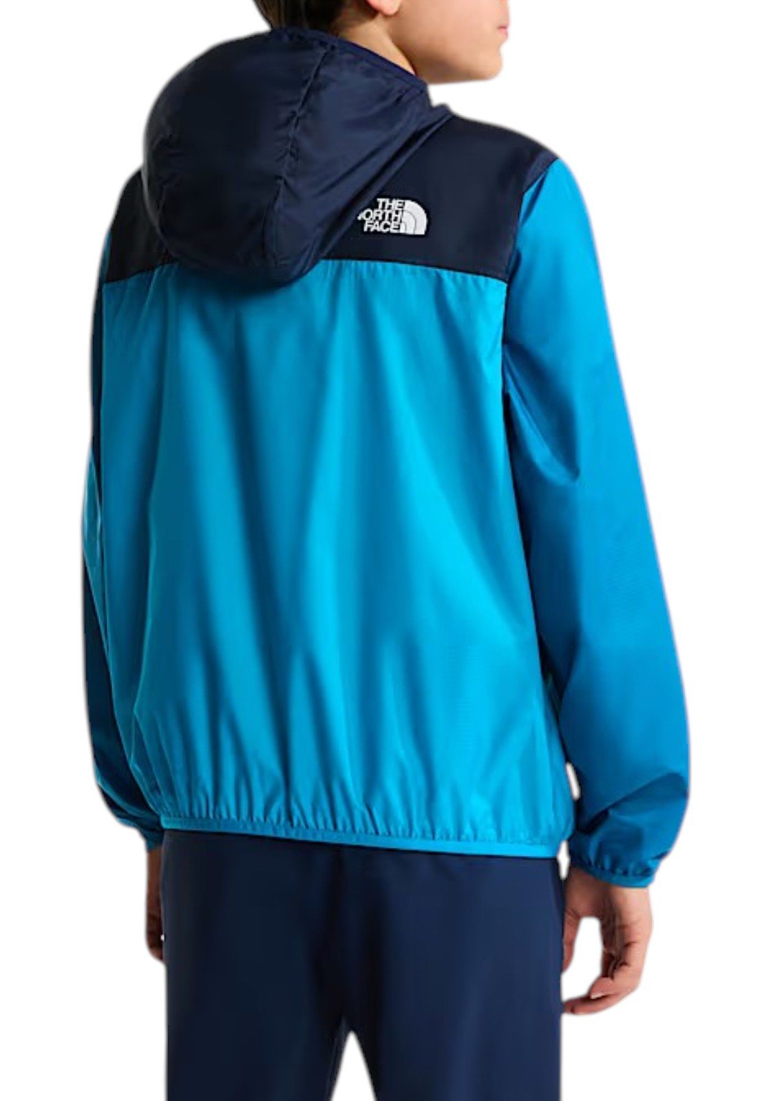 GIUBBINI E GIACCHE Azzurro/blu The North Face