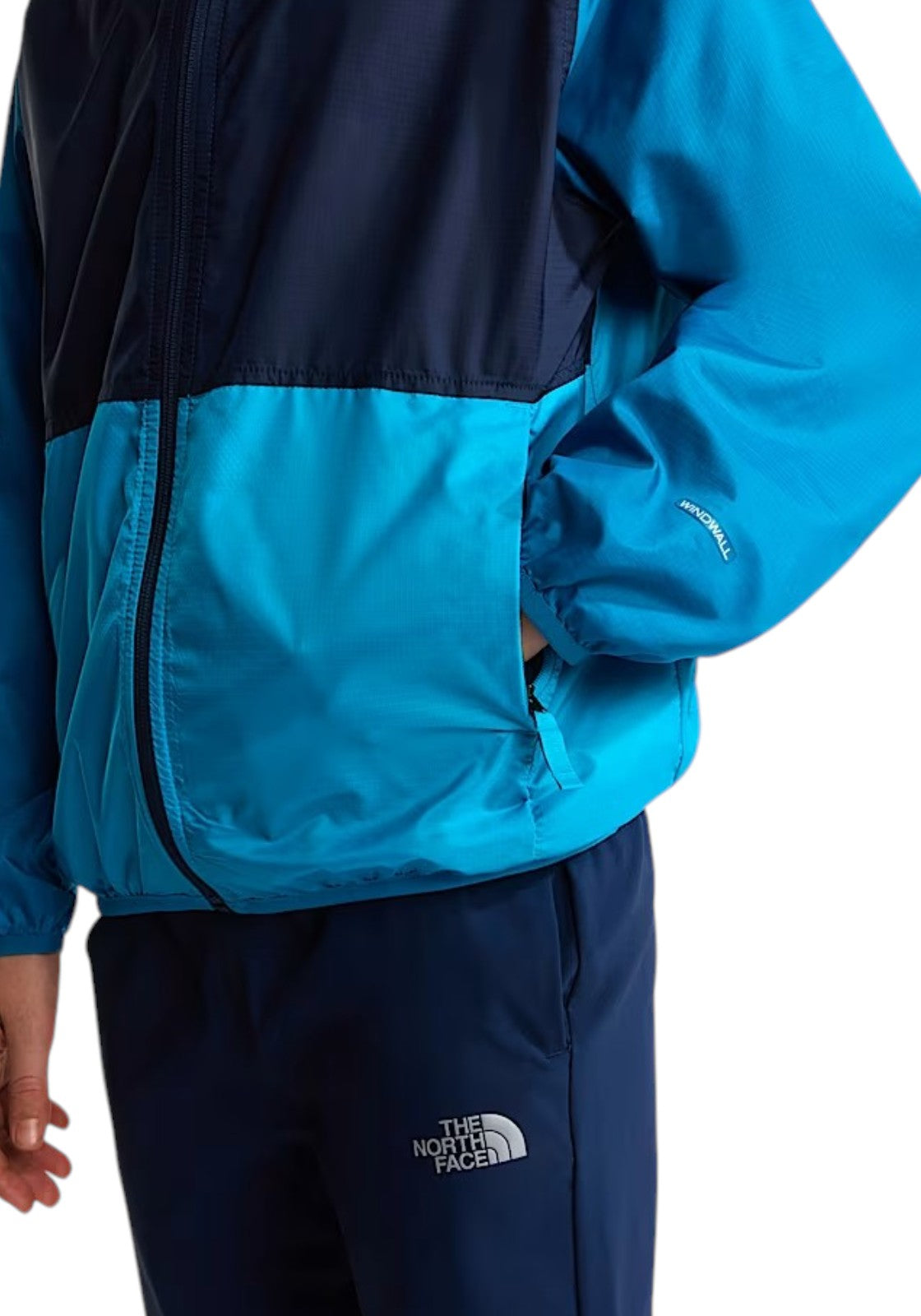 GIUBBINI E GIACCHE Azzurro/blu The North Face