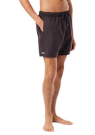 COSTUMI Testa Di Moro Lacoste