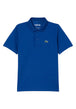 MAGLIONI E POLO Azzurro Lacoste