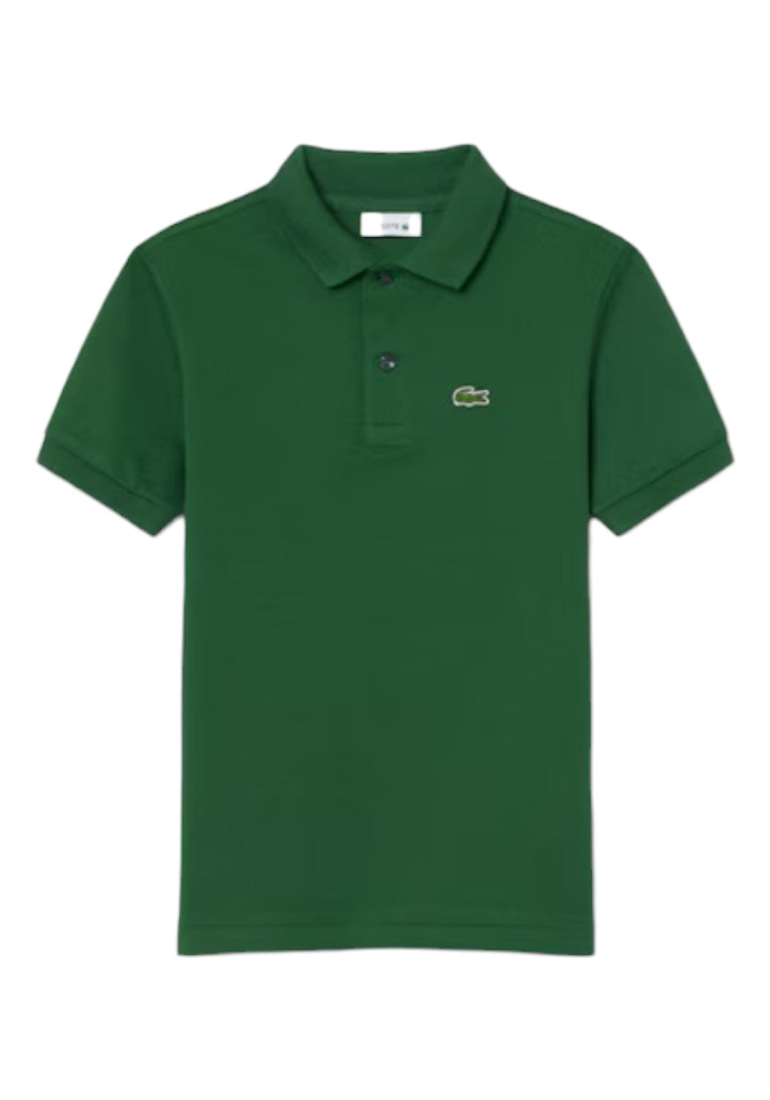 MAGLIONI E POLO Verde Lacoste