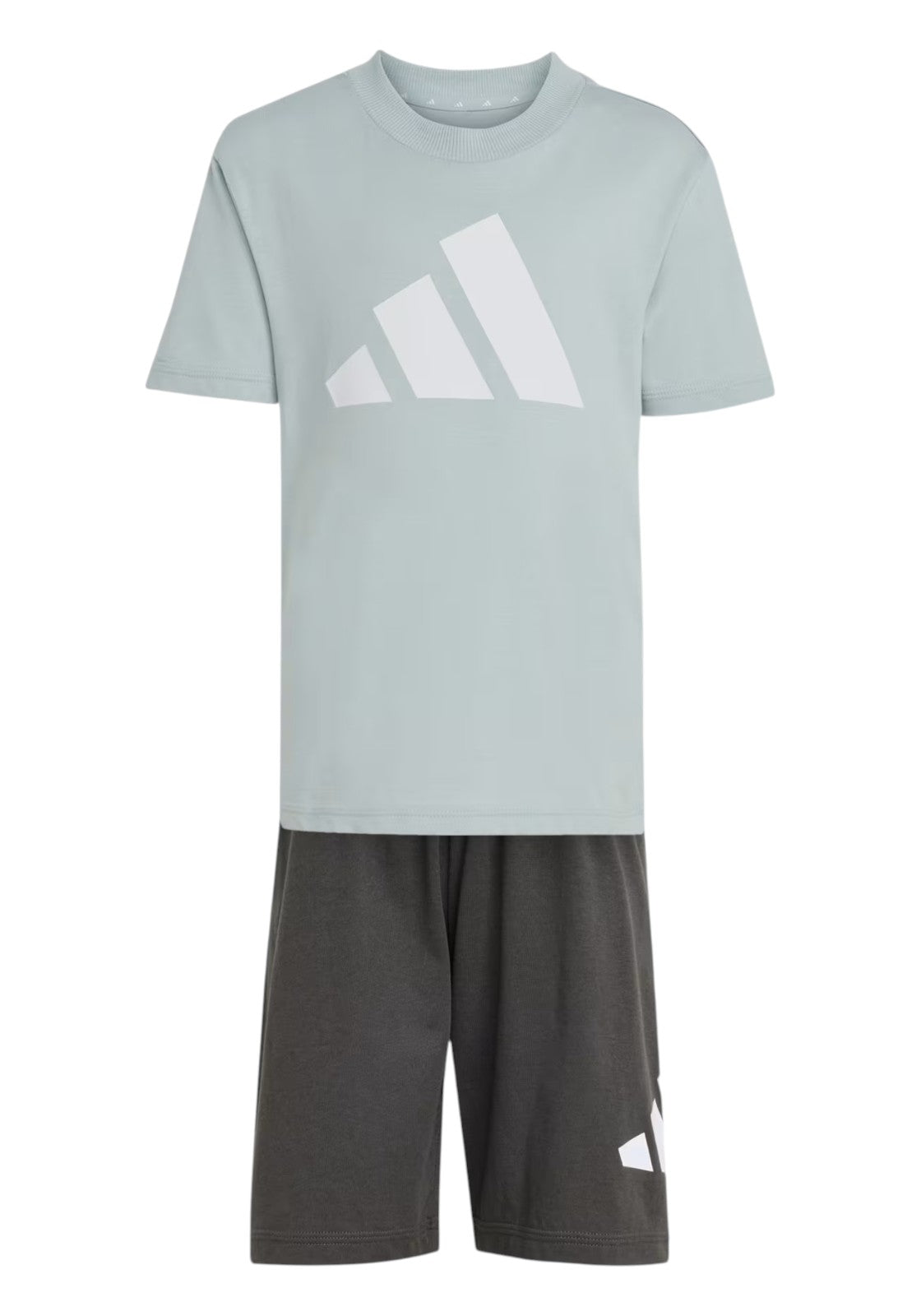 TUTE Verde/grigio Adidas