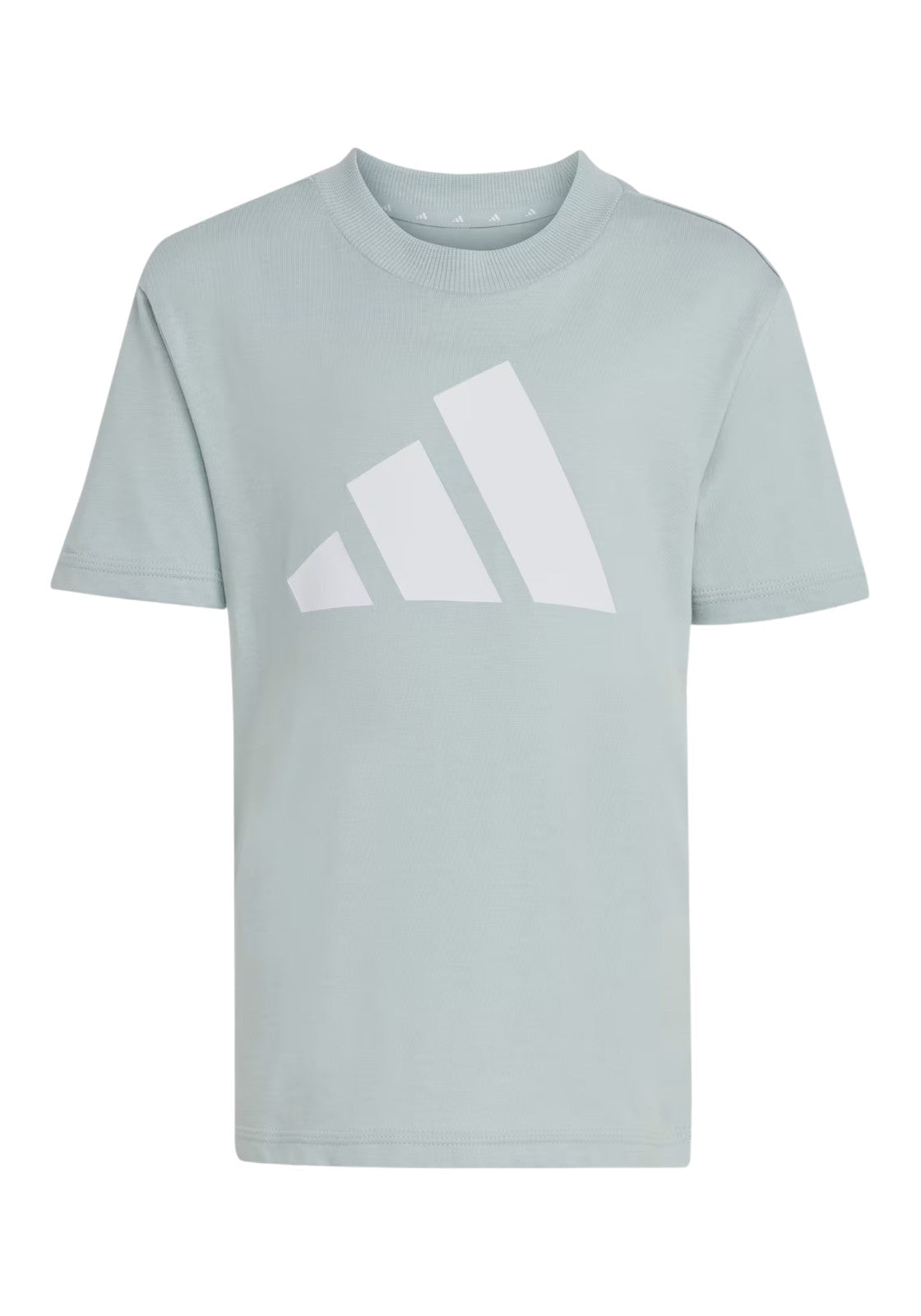 TUTE Verde/grigio Adidas