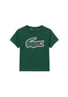 T-SHIRT E CANOTTE Verde Bottiglia Lacoste