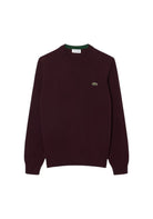 MAGLIONI E POLO Vinaccia Lacoste