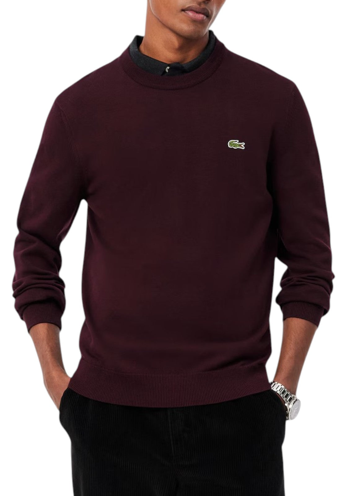 MAGLIONI E POLO Vinaccia Lacoste