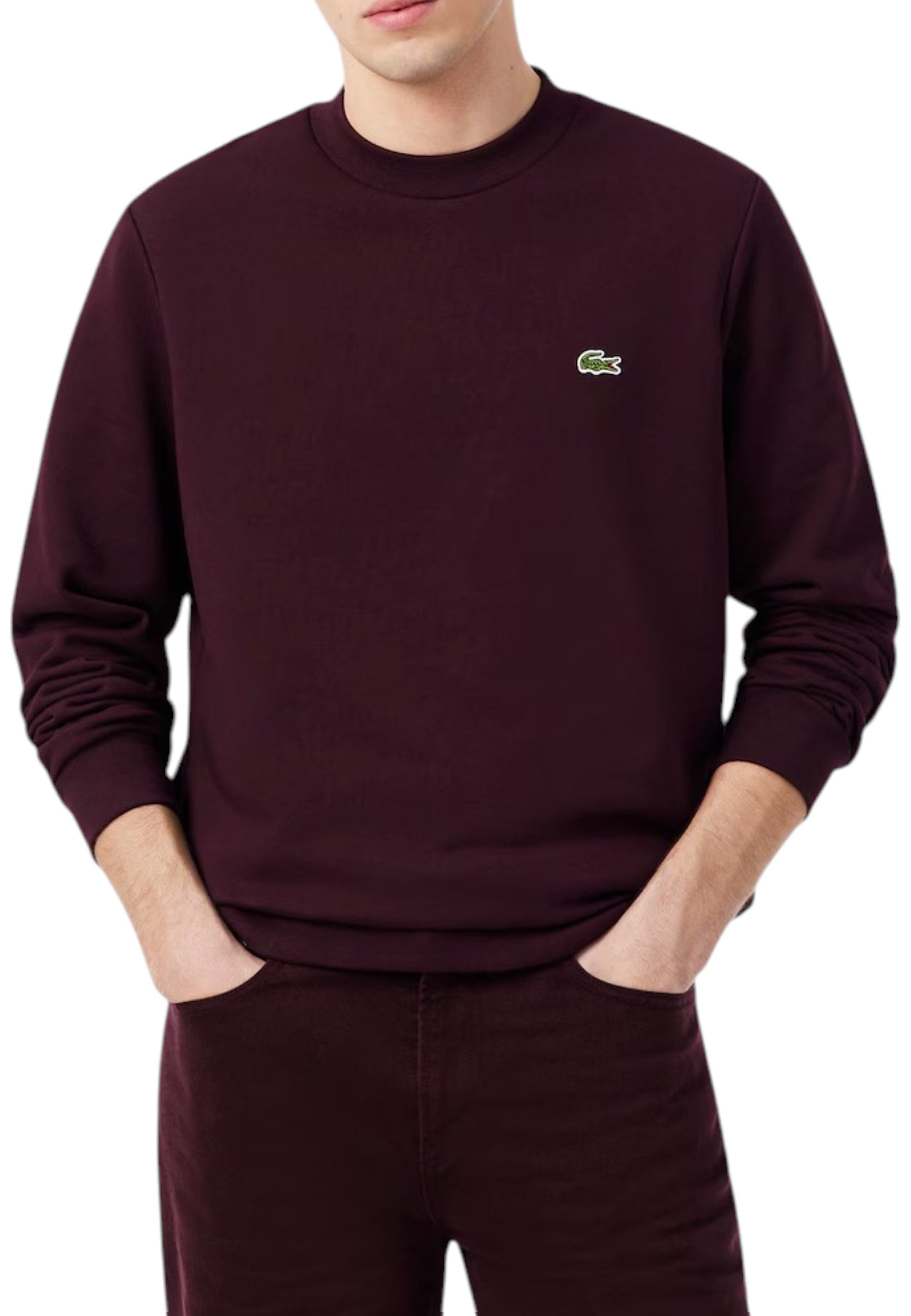 FELPE Vinaccia Lacoste