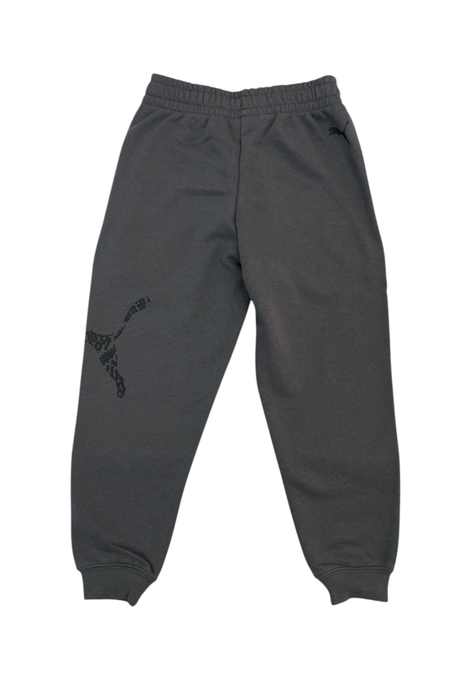 PANTALONI Grigio Puma