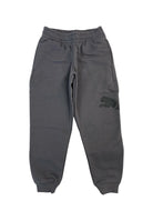 PANTALONI Grigio Puma