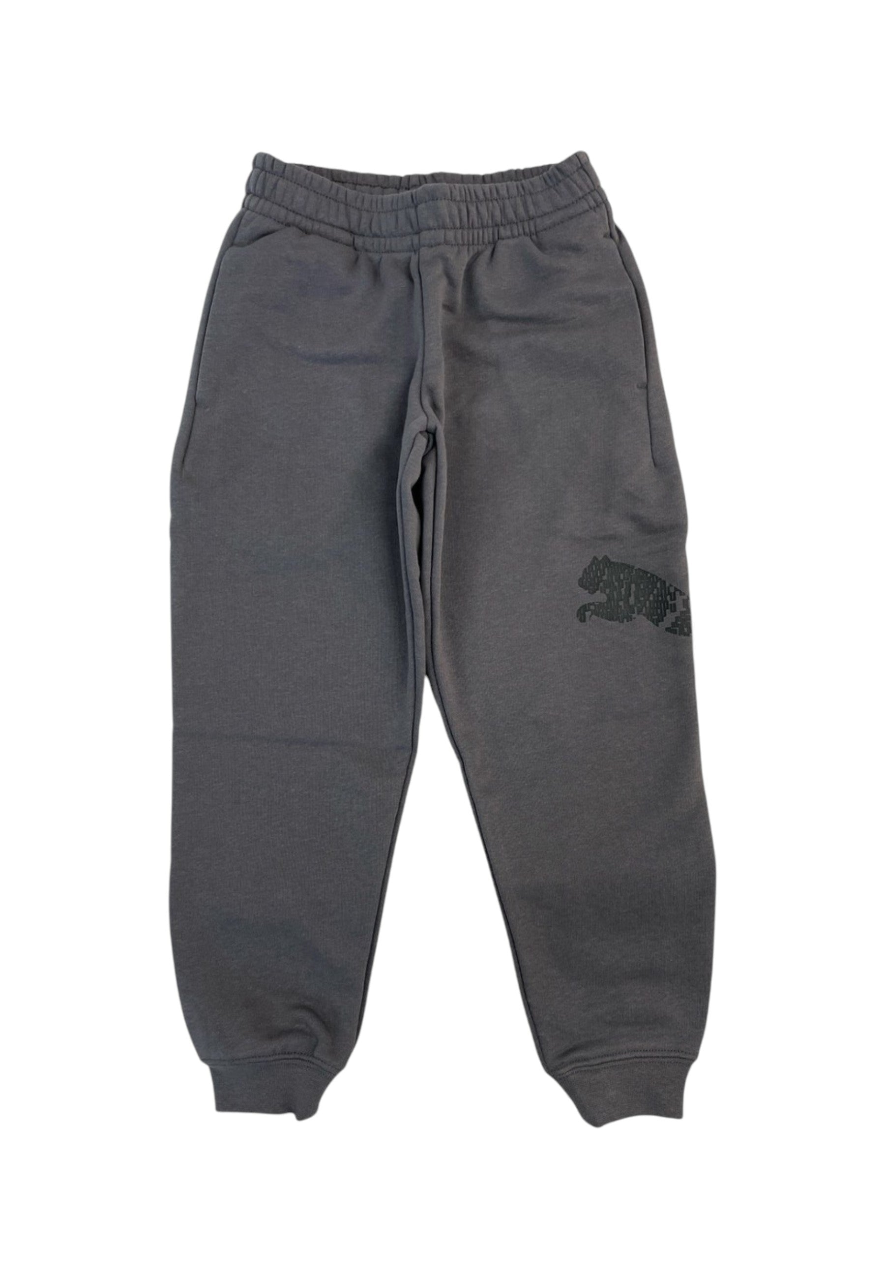 PANTALONI Grigio Puma