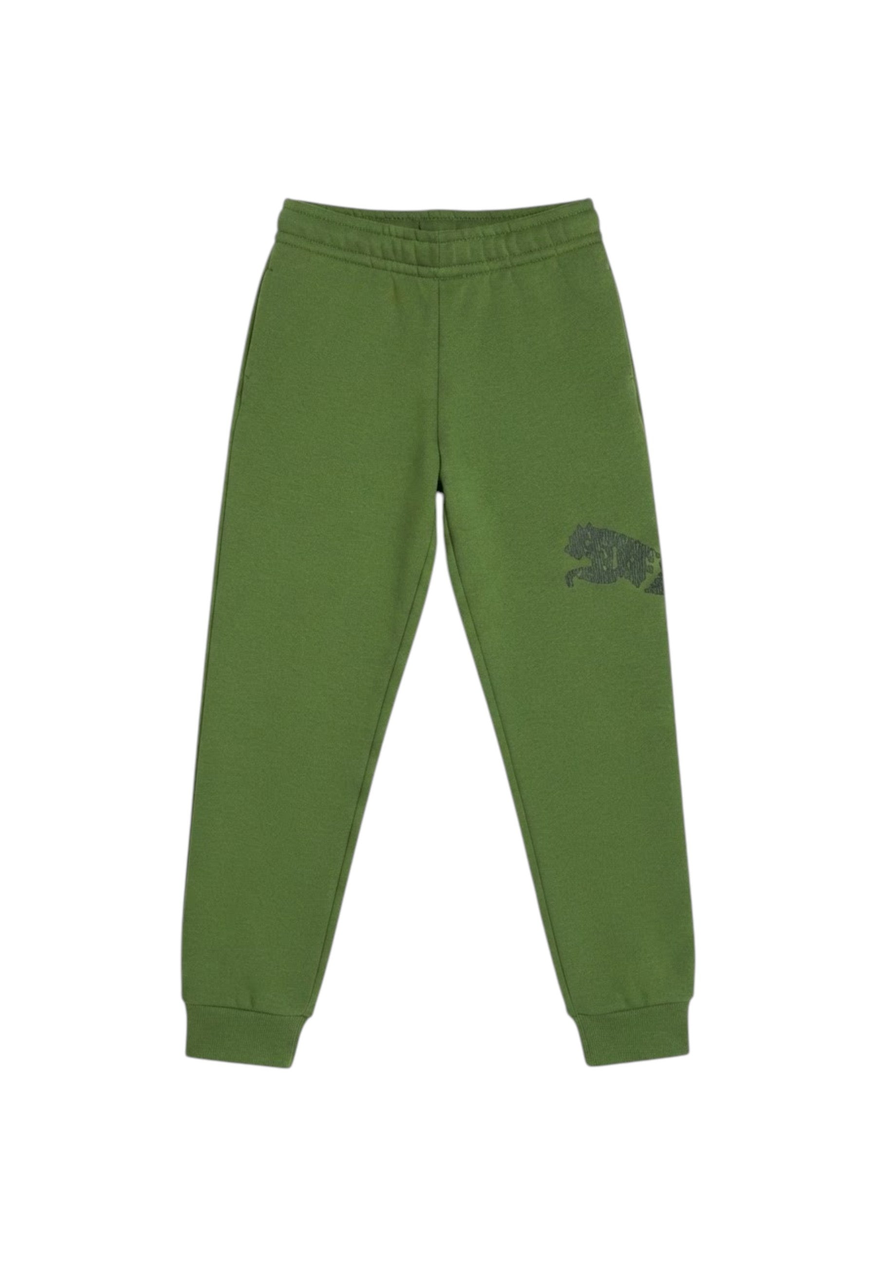 PANTALONI Verde Puma