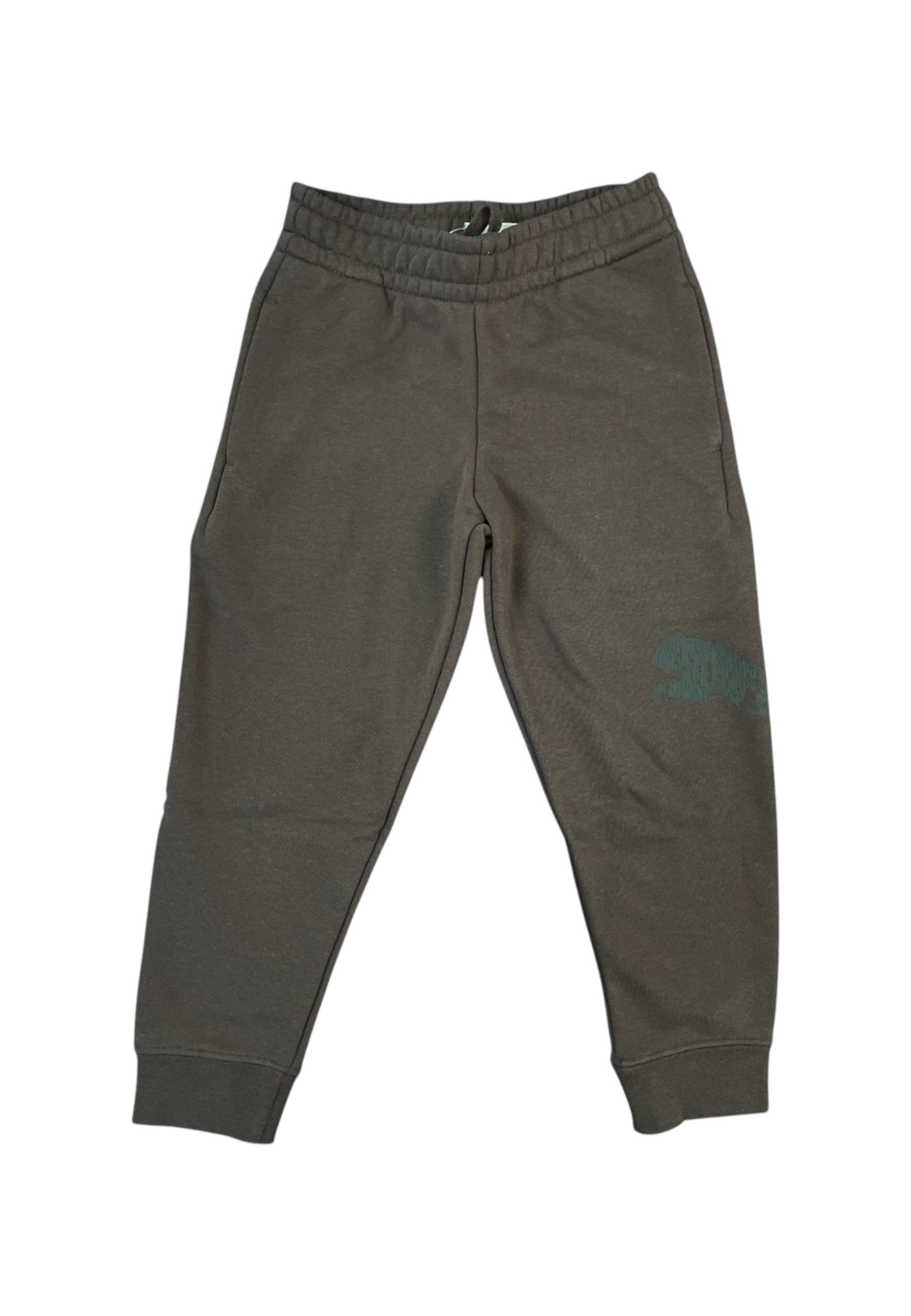 PANTALONI Marrone Puma