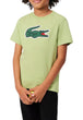 T-SHIRT E CANOTTE Verde Lacoste