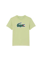 T-SHIRT E CANOTTE Verde Lacoste