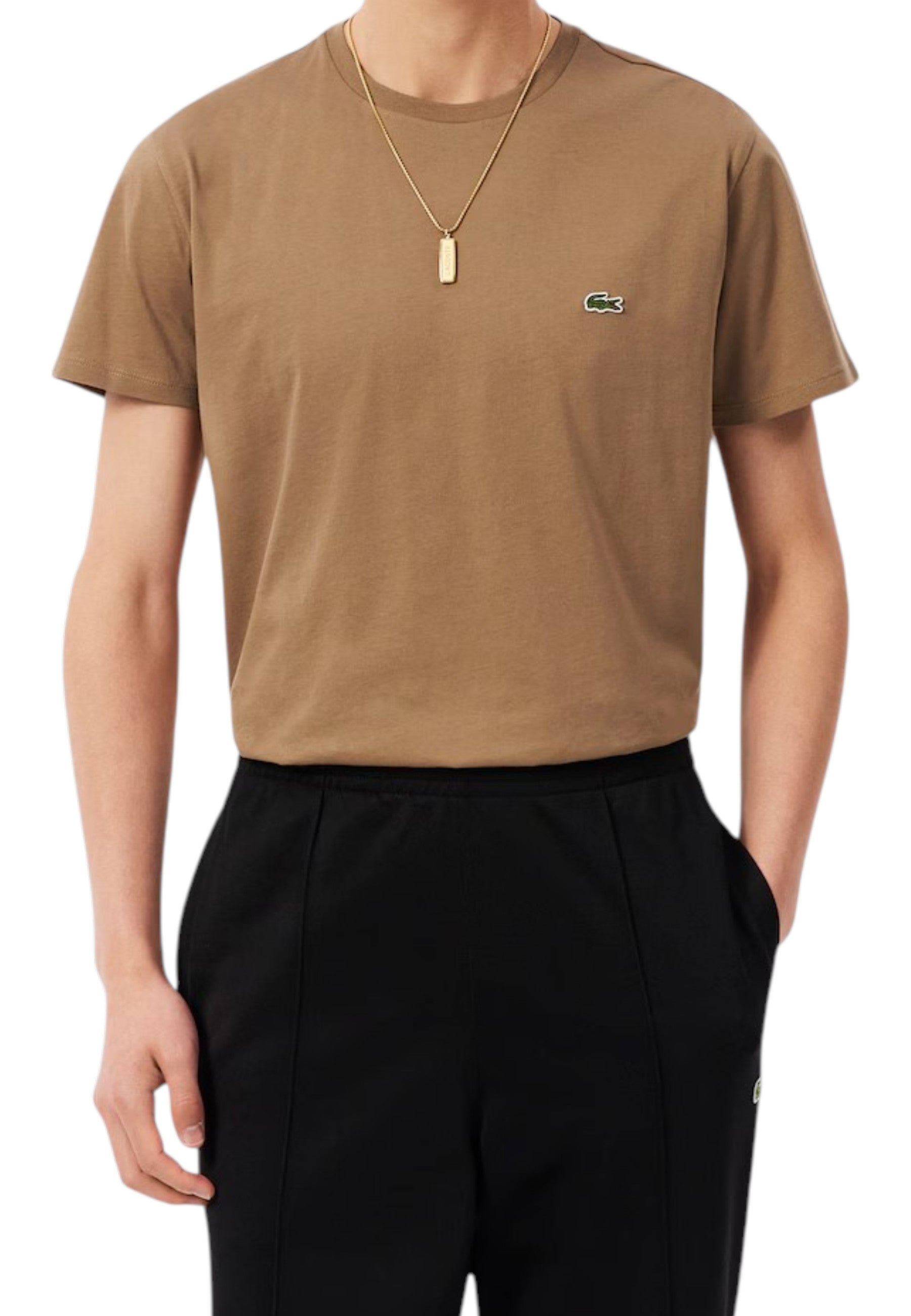T-SHIRT E CANOTTE Cammello Lacoste